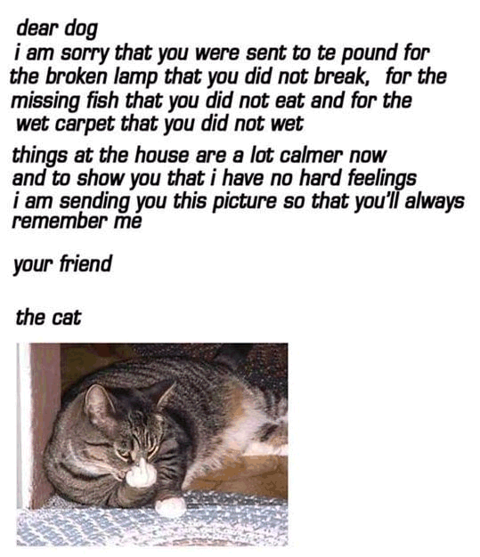 Dear Dog