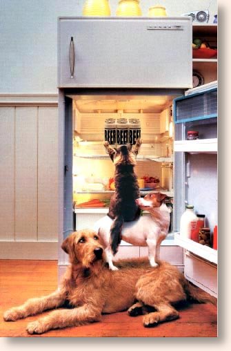 teamwork